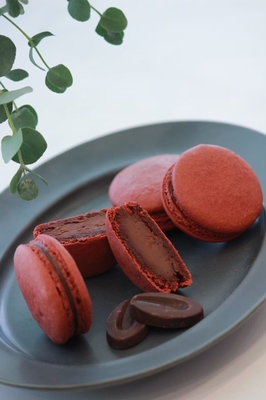 3077 マカロン 3077 マカロン マカロン 5個セット【ギフト箱入】 | C'est mieux